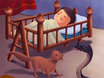 猫鼬和蛇